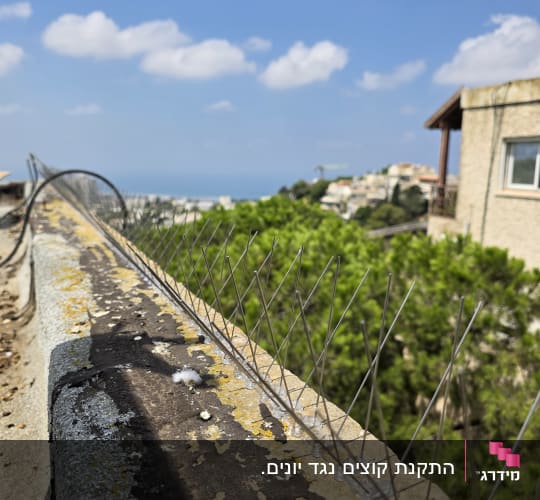 דוקרנים להרחקת יונים על גג עם נוף ברקע